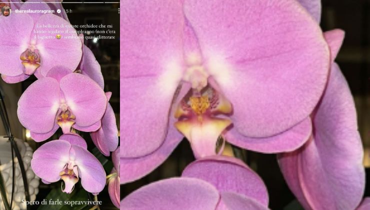 orchidea Aurora Ramazzotti